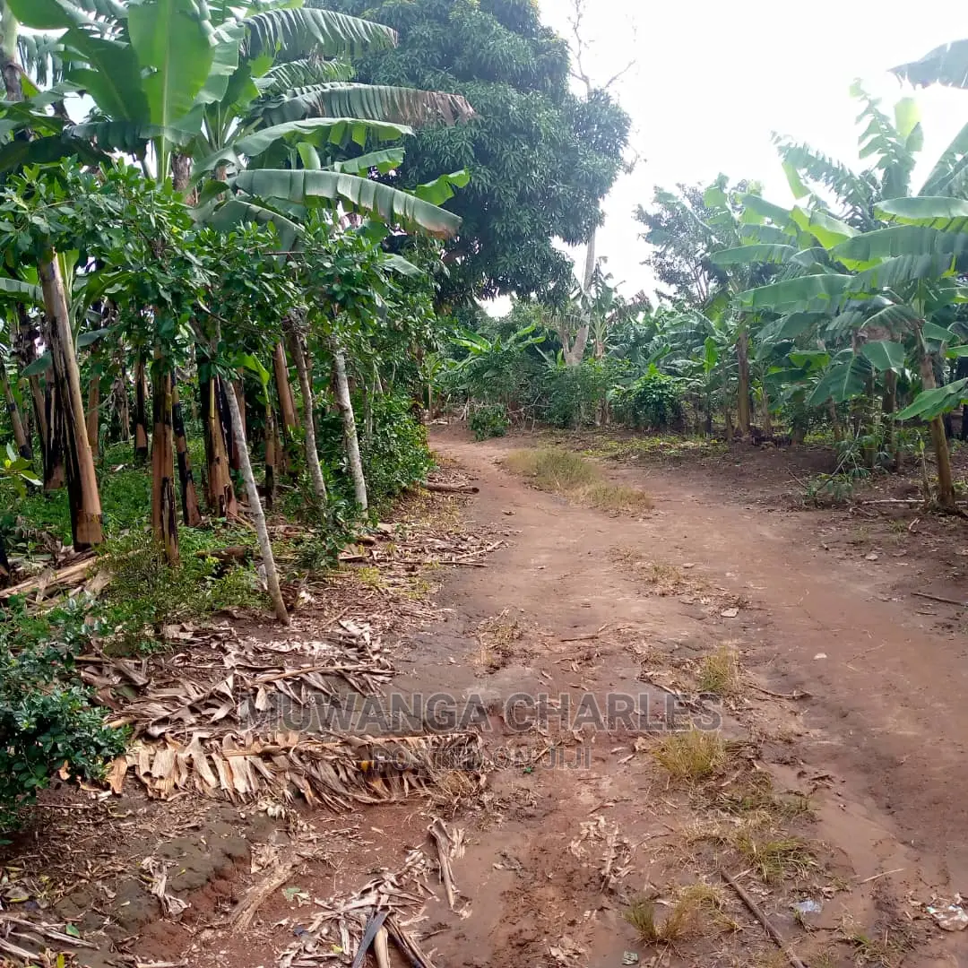 4acres of Land for Sale at Zirobwe Janda