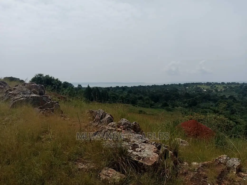 30acres of Stone Land for Sale at Nkonkonjeru
