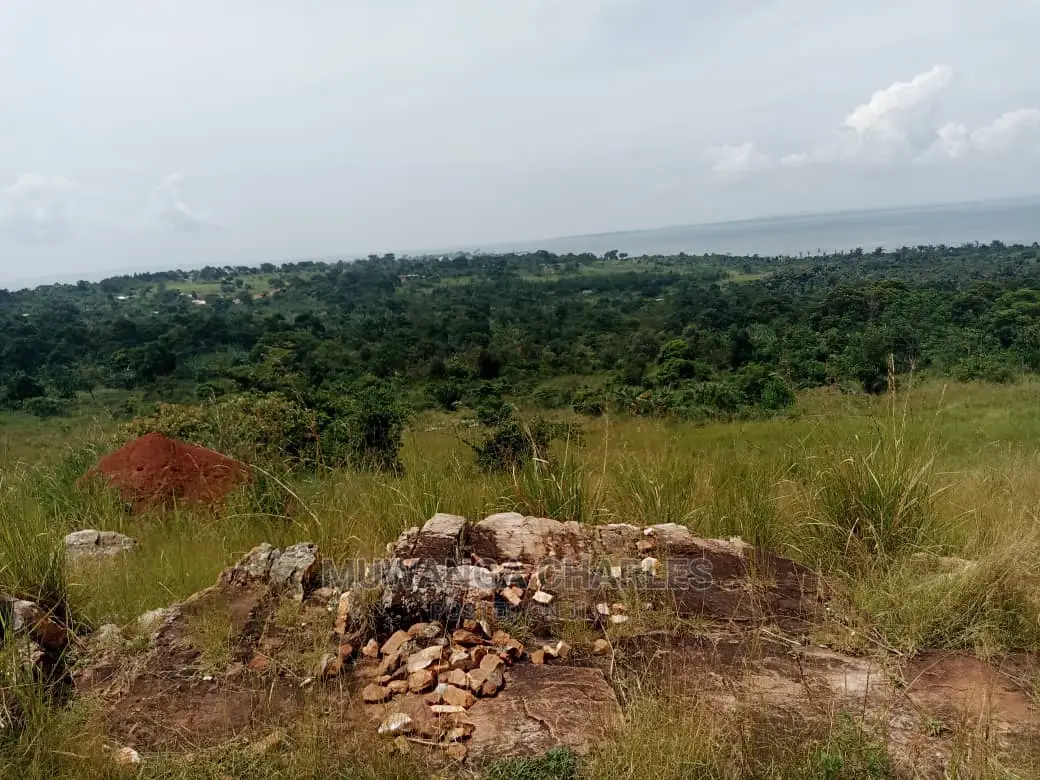 30acres of Stone Land for Sale at Nkonkonjeru
