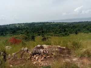 30acres of Stone Land for Sale at Nkonkonjeru