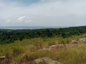 30acres of Stone Land for Sale at Nkonkonjeru