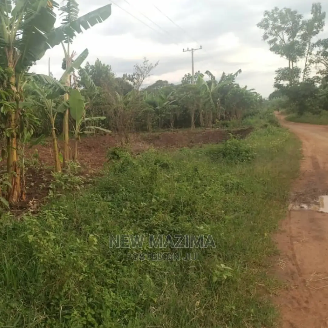 Full Acre at Give Away Price in Luwero Lweyeyo Ready Title