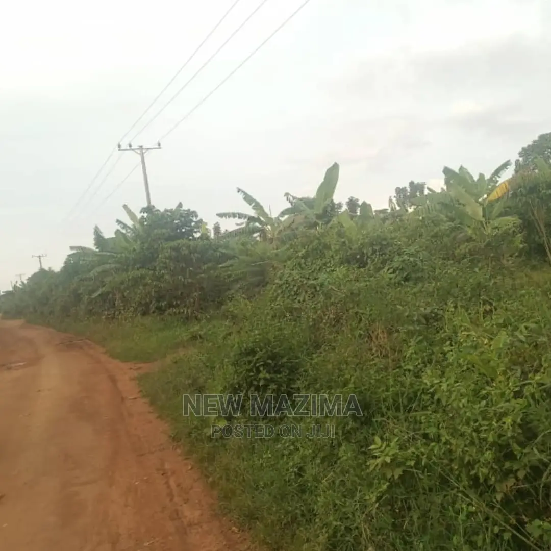 Full Acre at Give Away Price in Luwero Lweyeyo Ready Title
