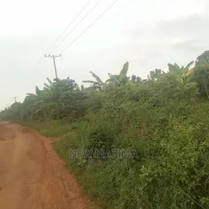 Full Acre at Give Away Price in Luwero Lweyeyo Ready Title