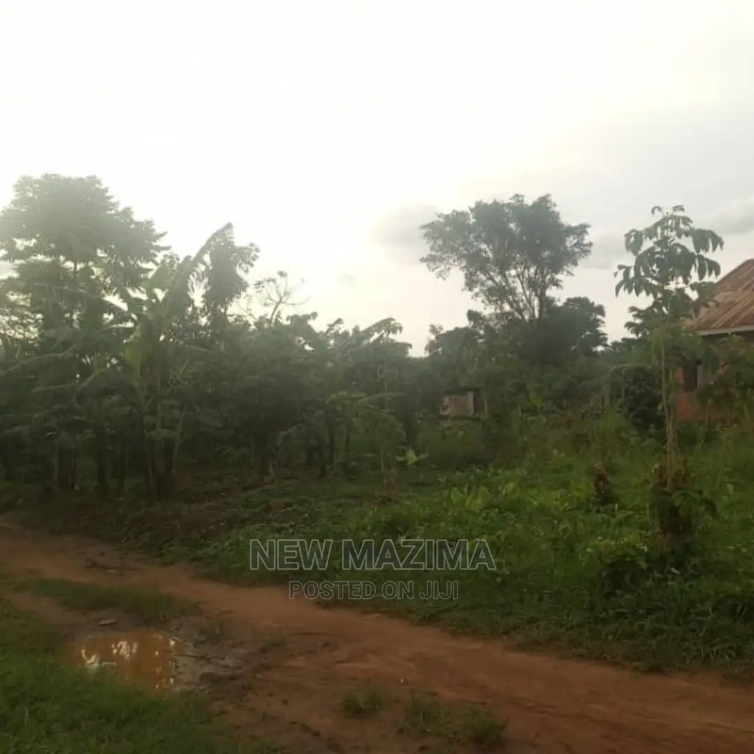 Full Acre at Give Away Price in Luwero Lweyeyo Ready Title