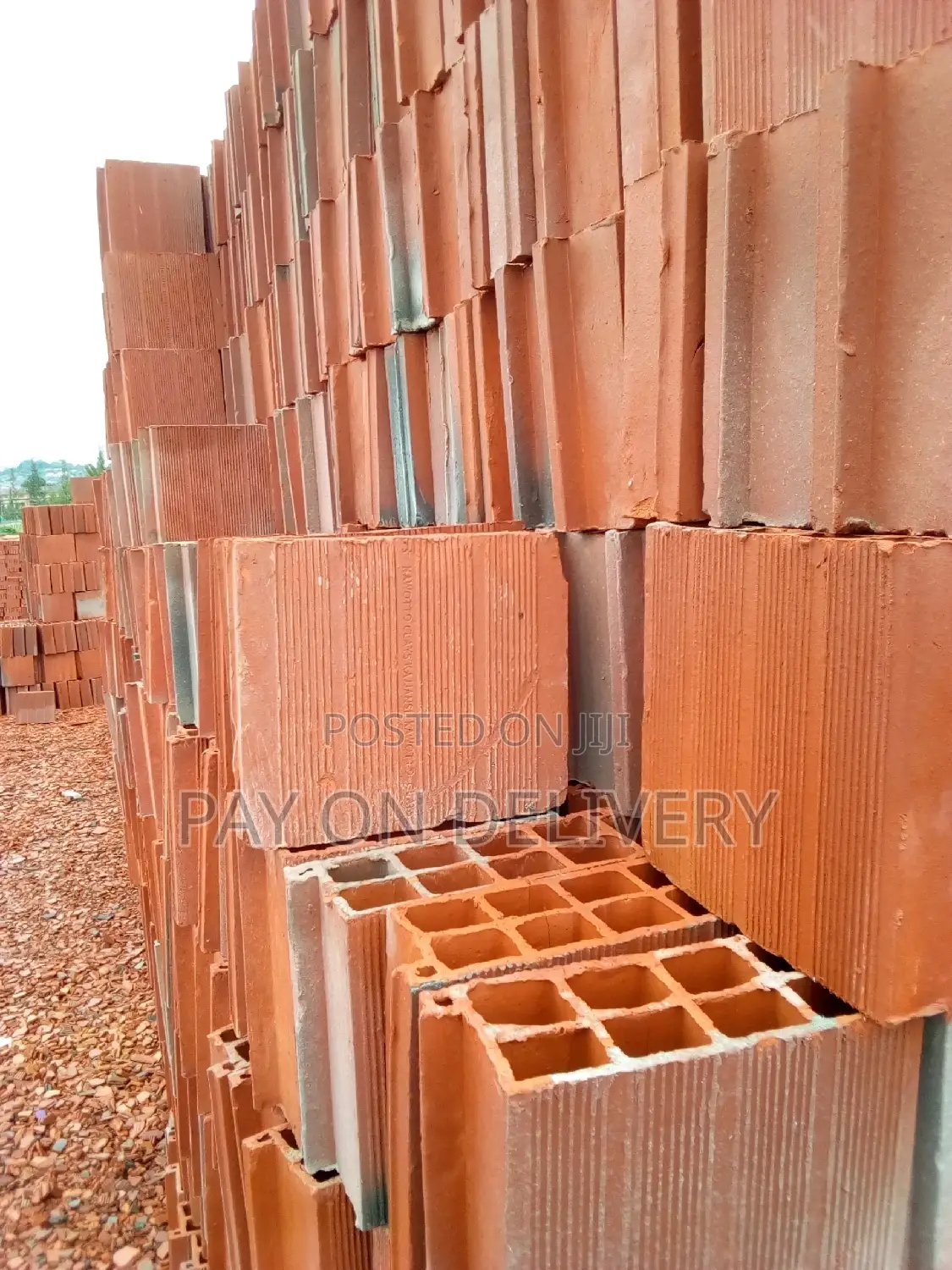 Clay Construction Blocks (Max Pans)