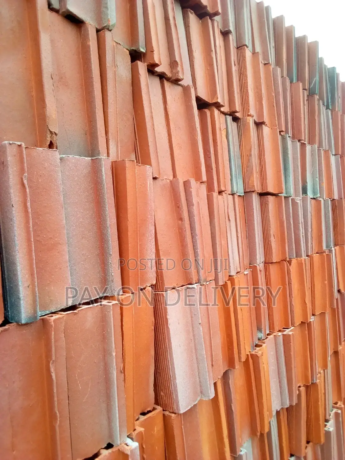 Clay Construction Blocks (Max Pans)