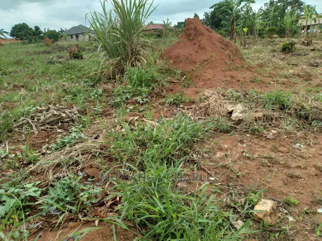 12decimals Plot of Land for Sale at Kira Kiwologoma