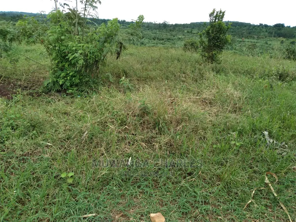12decimals Plot of Land for Sale at Kira Kiwologoma