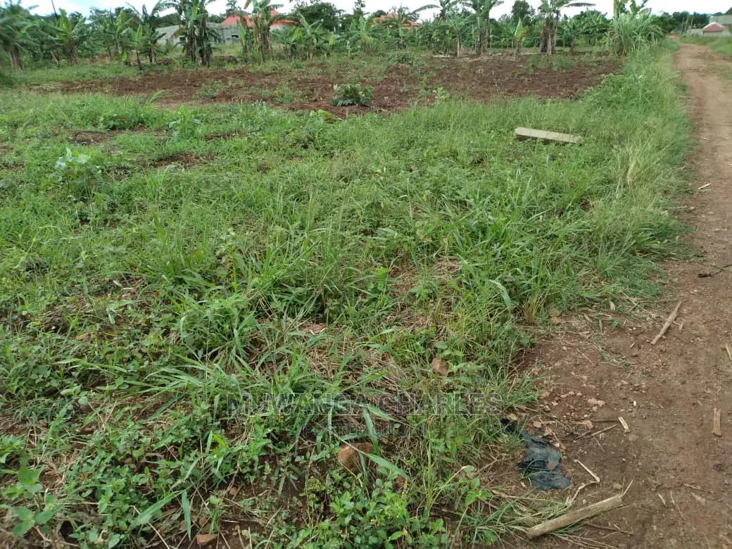 12decimals Plot of Land for Sale at Kira Kiwologoma