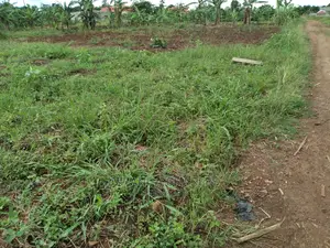 12decimals Plot of Land for Sale at Kira Kiwologoma
