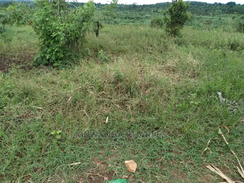 Plot of Land for Sale at Kira Bulindo