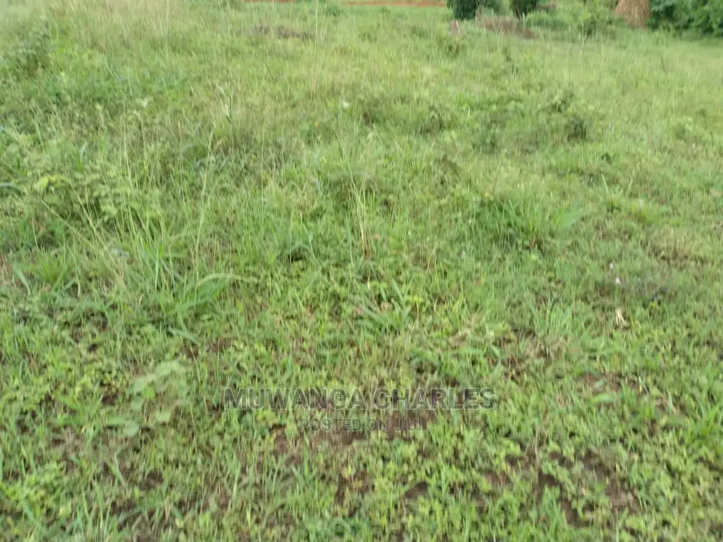 Plot of Land for Sale at Kira Bulindo