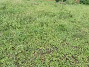 Plot of Land for Sale at Kira Bulindo