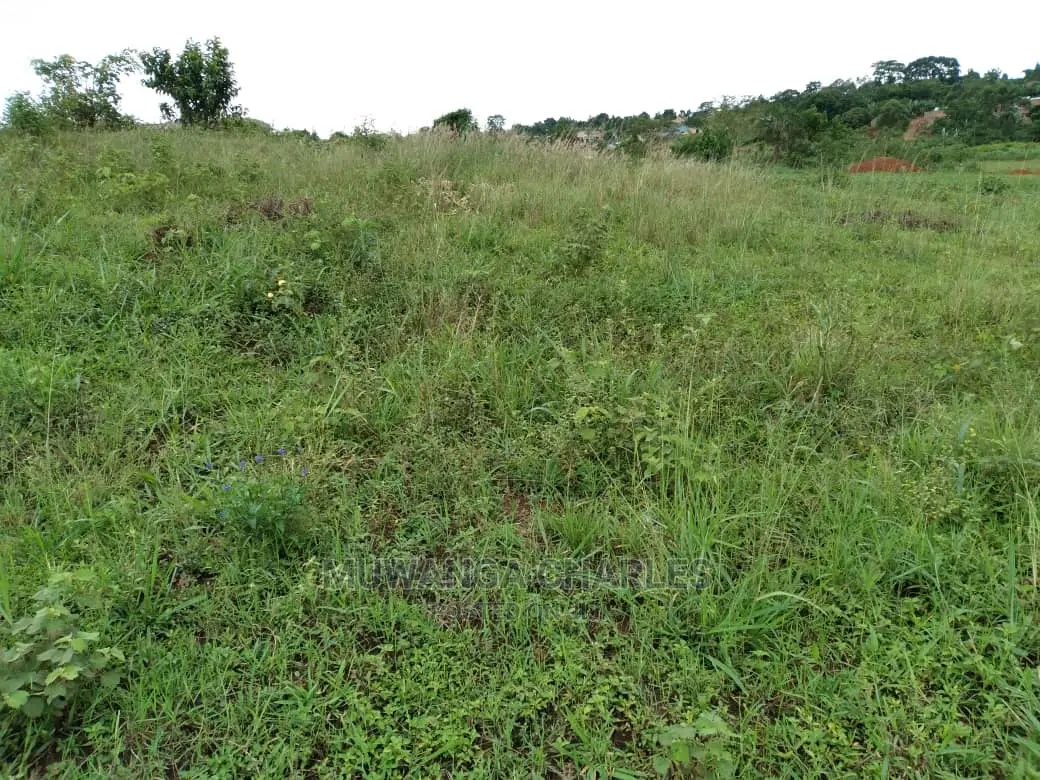 Plot of Land for Sale at Kira Bulindo