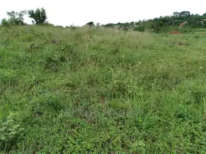 Plot of Land for Sale at Kira Bulindo