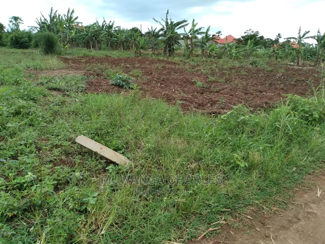 100x50ft Plot of Land for Sale at Kira