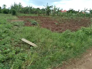 100x50ft Plot of Land for Sale at Kira