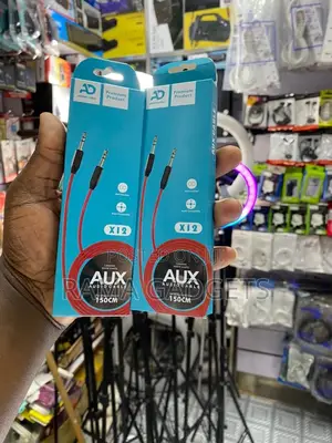 Aux X12 Audio Pin