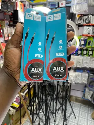 Aux X12 Audio Pin
