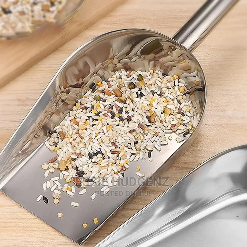 Stainless Steel Food Scoop