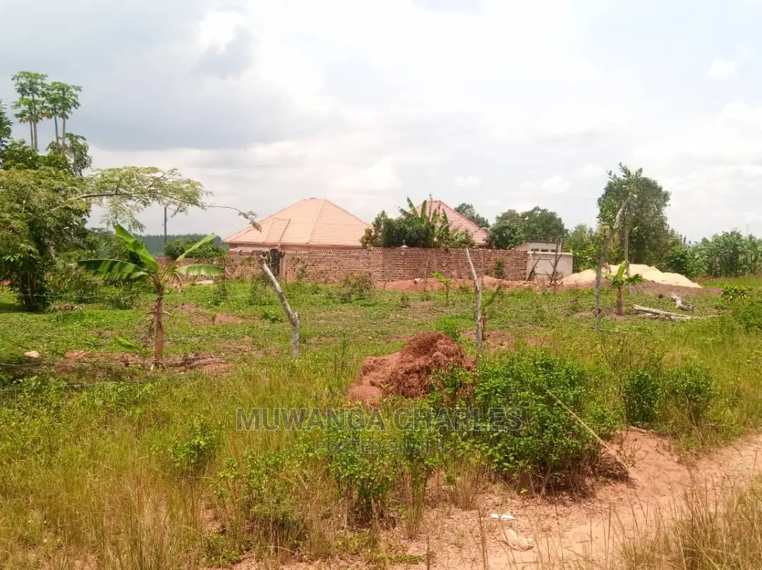 100x50ft Plot of Land for Sale at Mattuga Kitugwa