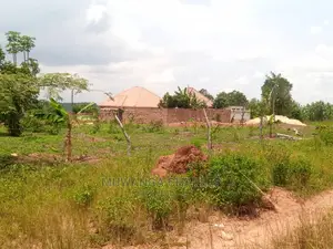 100x50ft Plot of Land for Sale at Mattuga Kitugwa