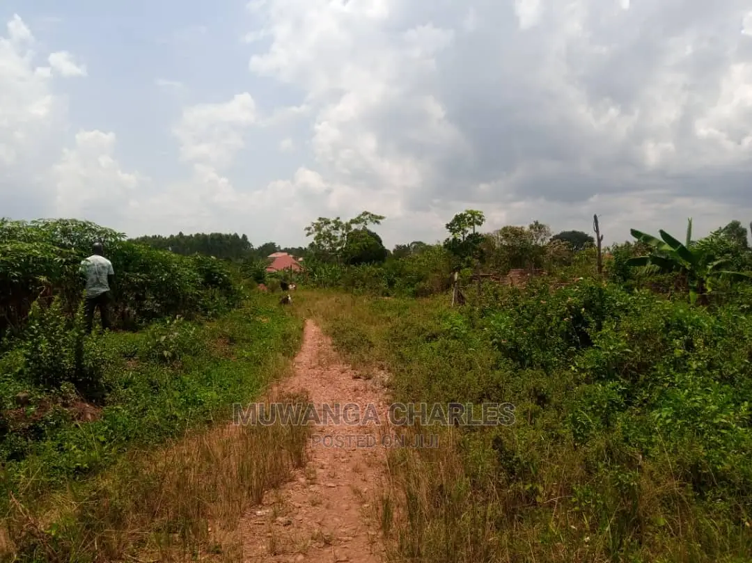 100x50ft Plot of Land for Sale at Mattuga Kitugwa