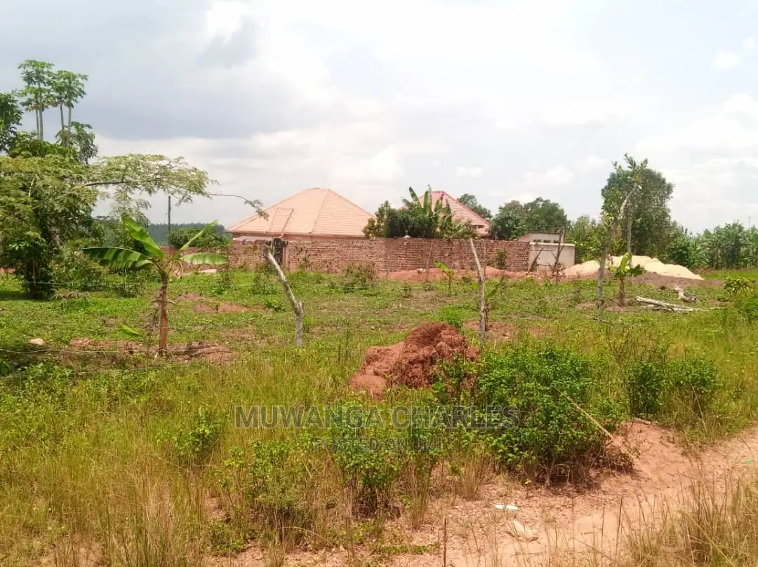 100x50ft Plot of Land for Sale at Mattuga Kitugwa