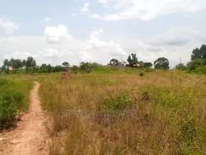 100x50ft Plot of Land for Sale at Gayaza Manyangwa