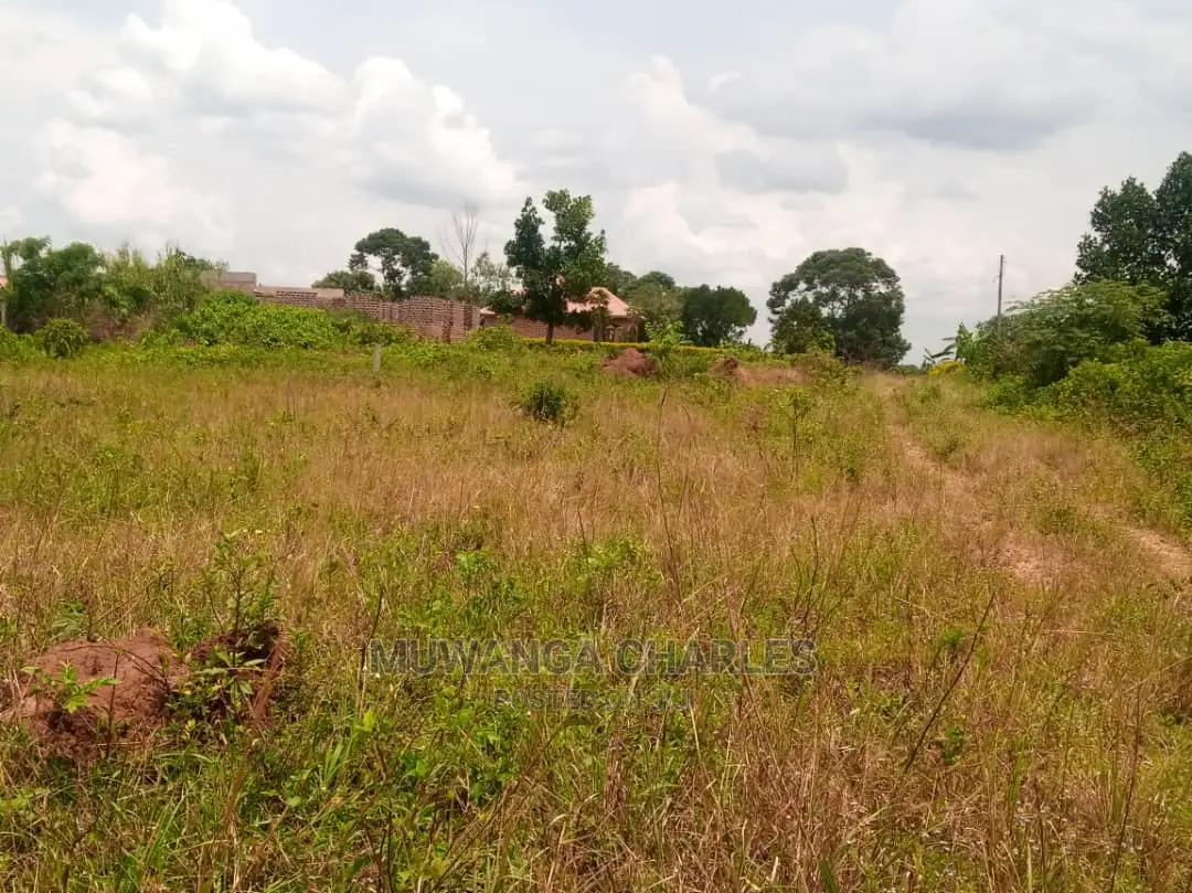 100x50ft Plot of Land for Sale at Gayaza Manyangwa
