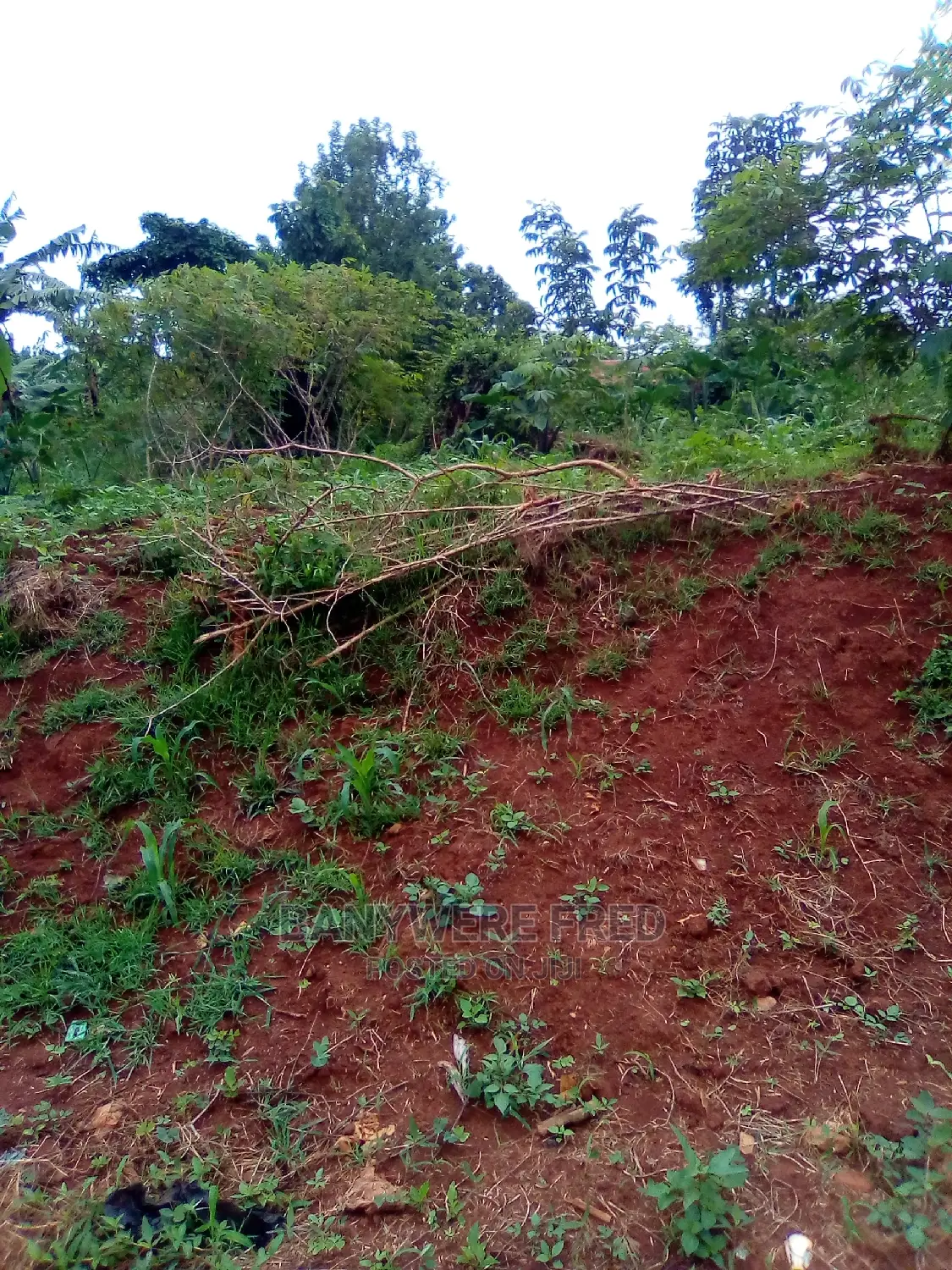 100x50ft Plot for Sale Kimwanyi