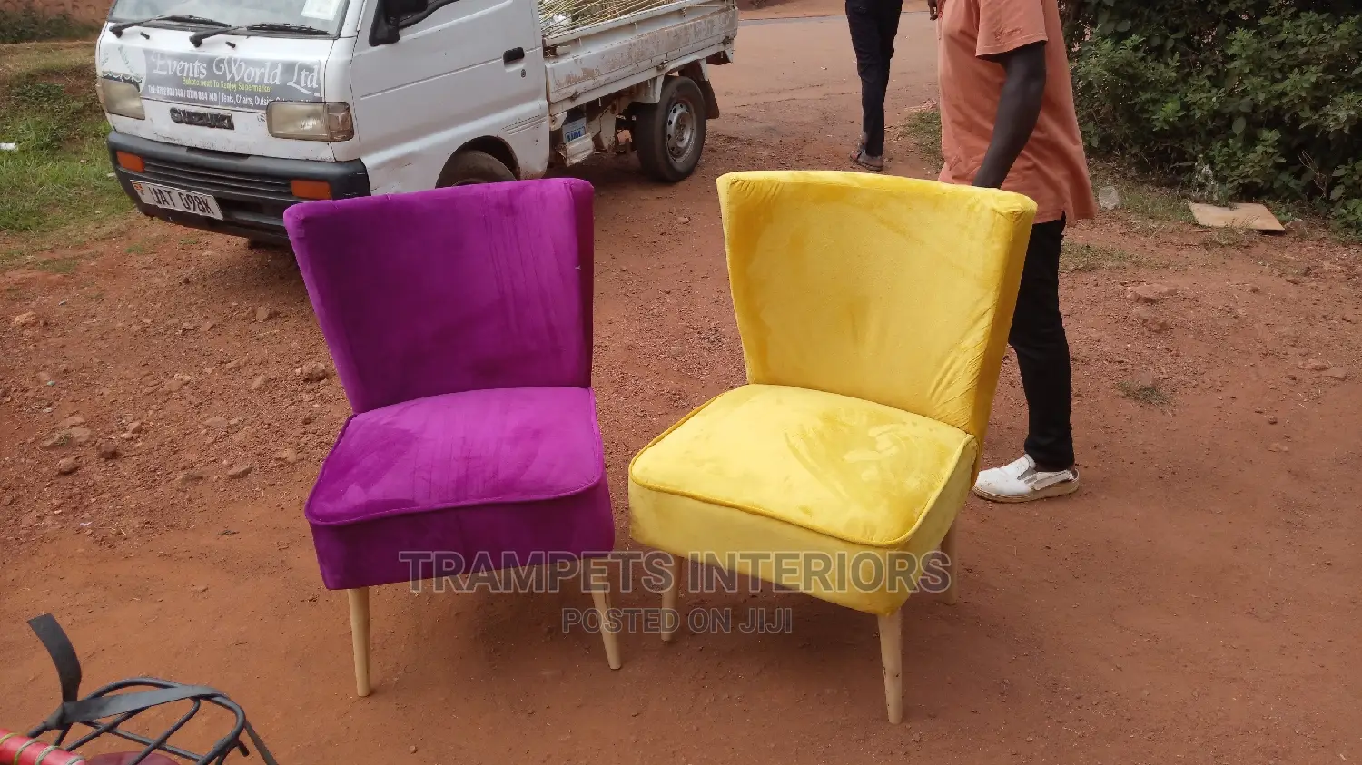 Butterfly Velvet Chairs