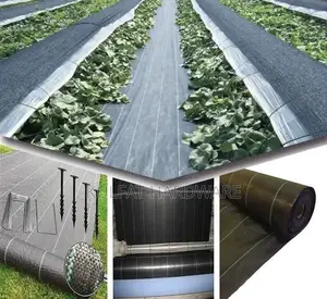 Weed Control Ground (Black Woven Geotextile Membrane)