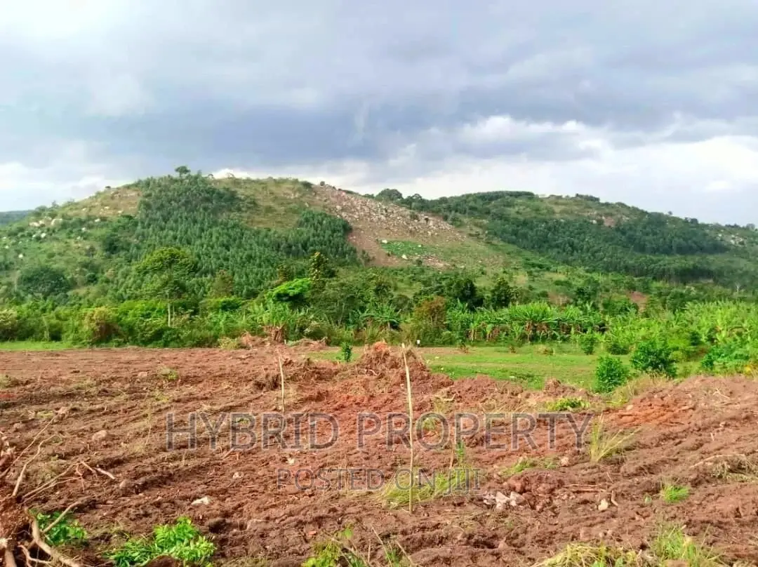 Plots for Sale at Nakyesanja~Wakiso Land Estate~ Hoima Road