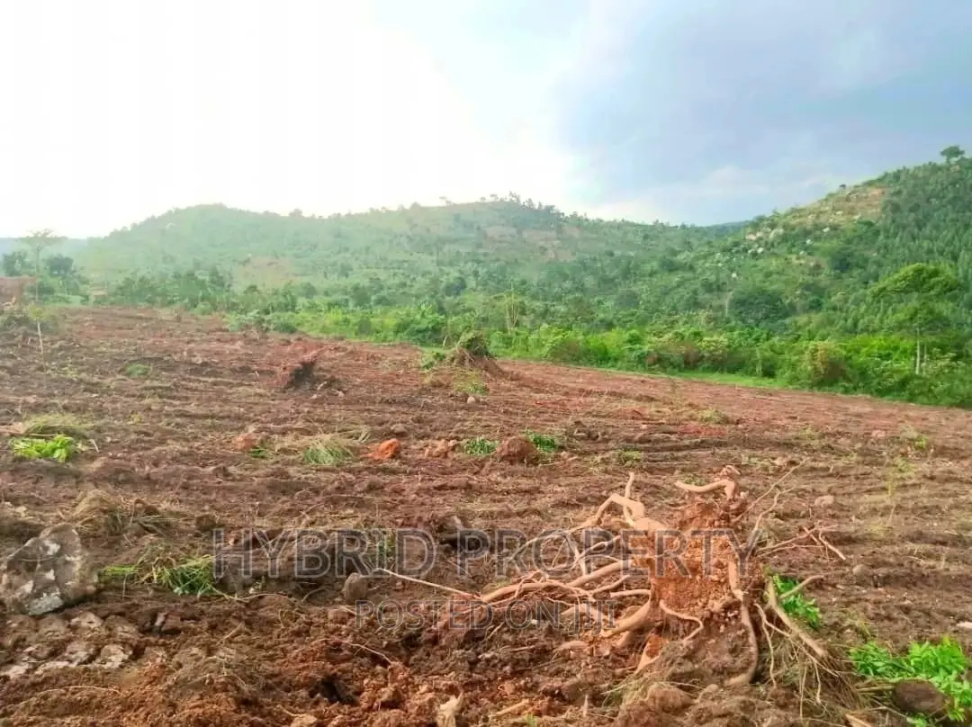 Plots for Sale at Nakyesanja~Wakiso Land Estate~ Hoima Road