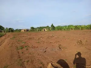 Great Plots in Gayaza for Sell