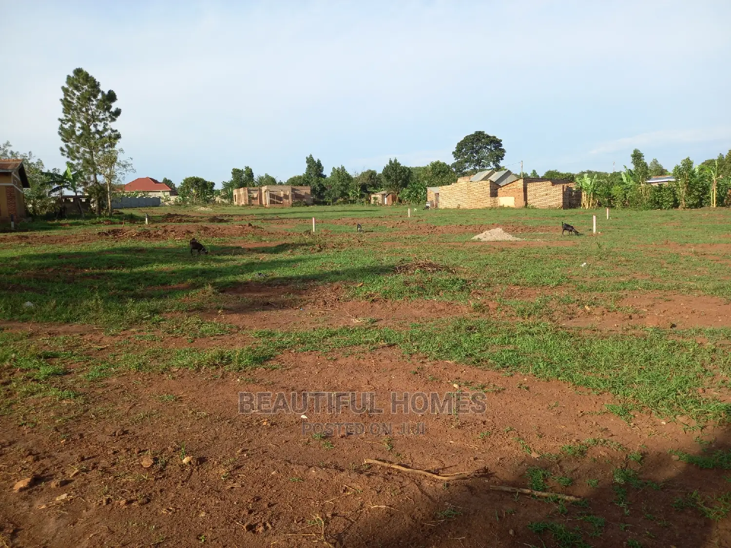 Nakwero Gayaza Plots on Sell