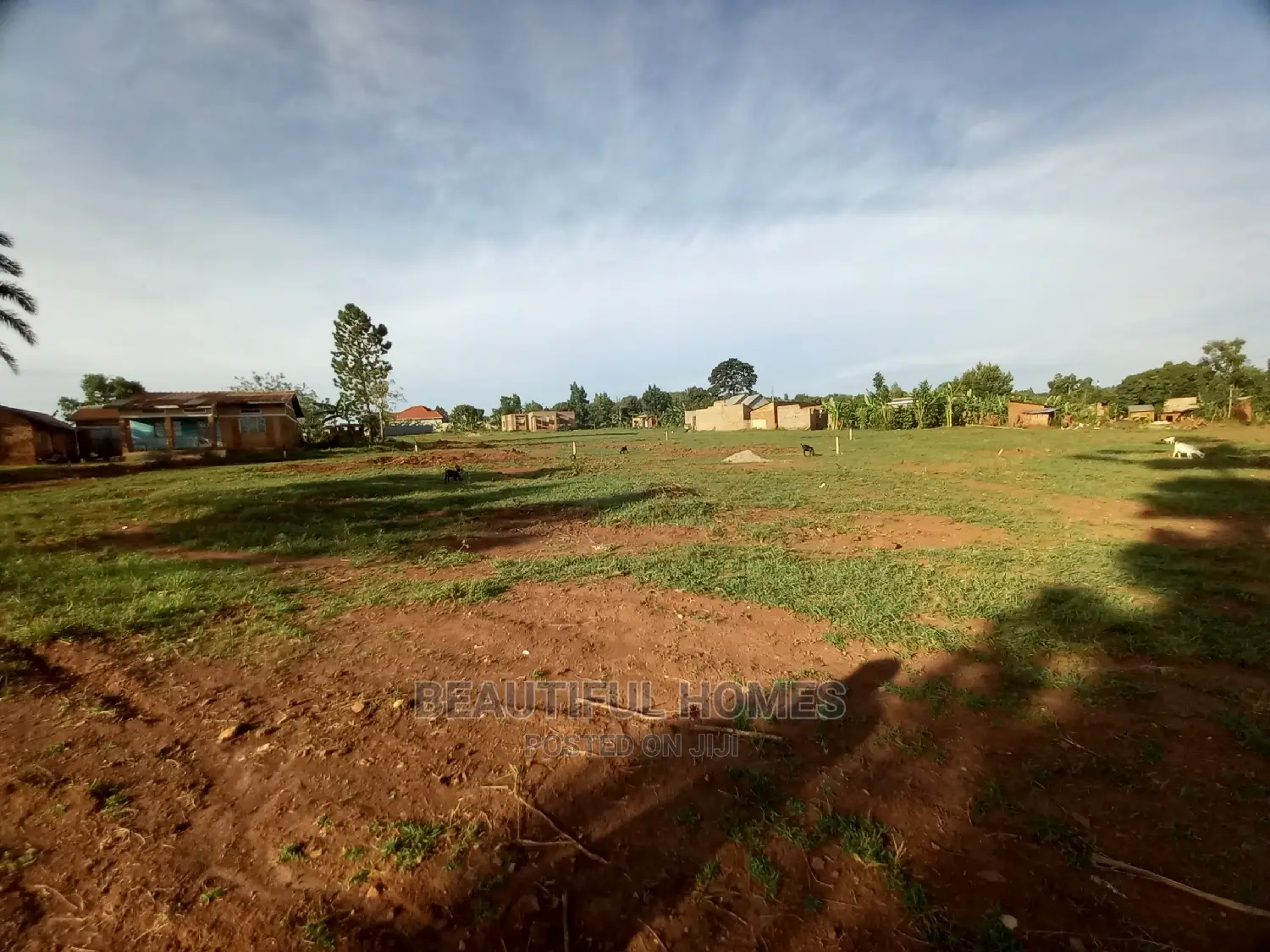 Posh Land in Nakwero on Sell