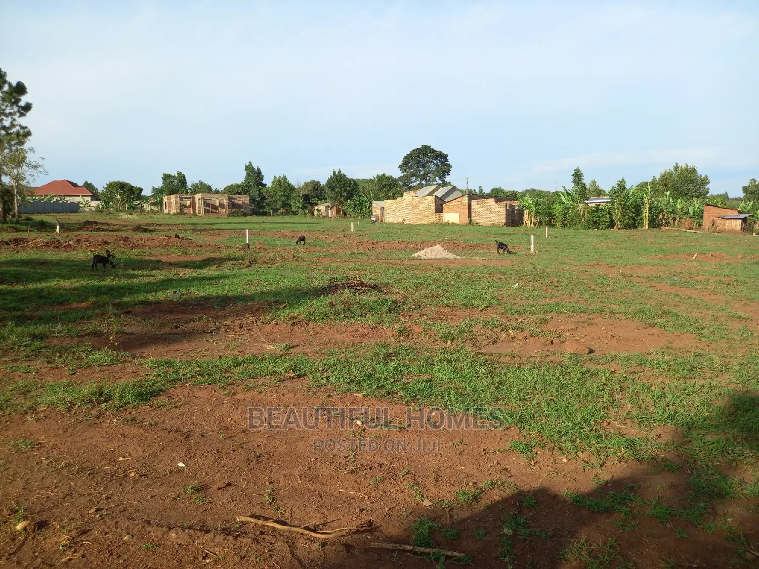 Gayaza Titled Land for Sell