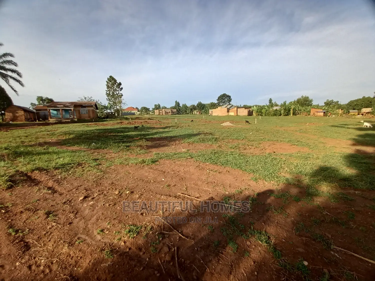 Plots on Sell at Nakwero