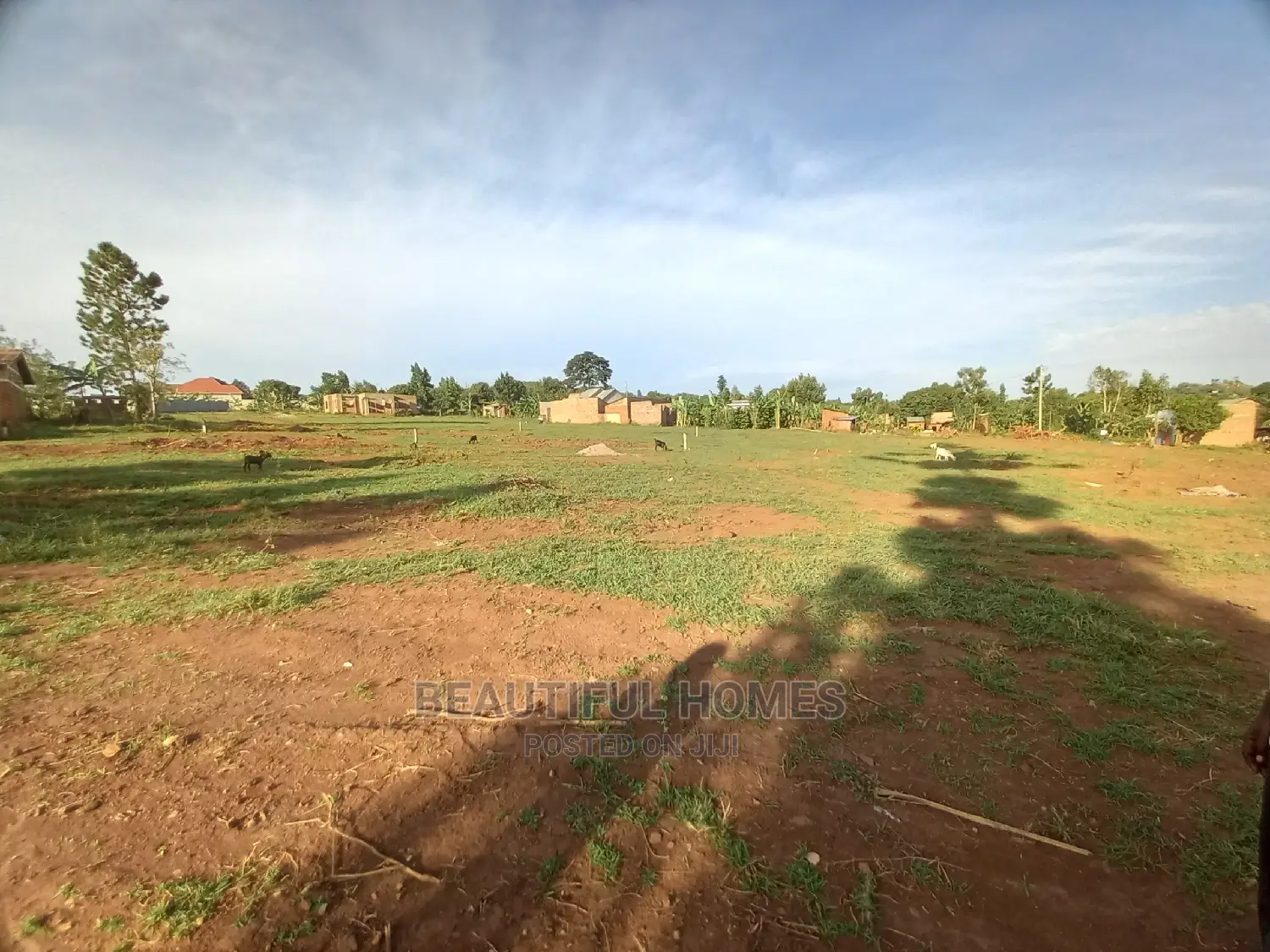 Posh Plots in Nakwero for Sell