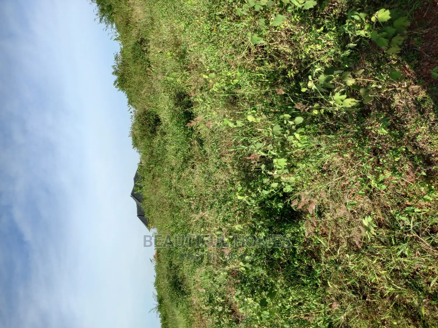 Nakasajja Two Plots on Sell