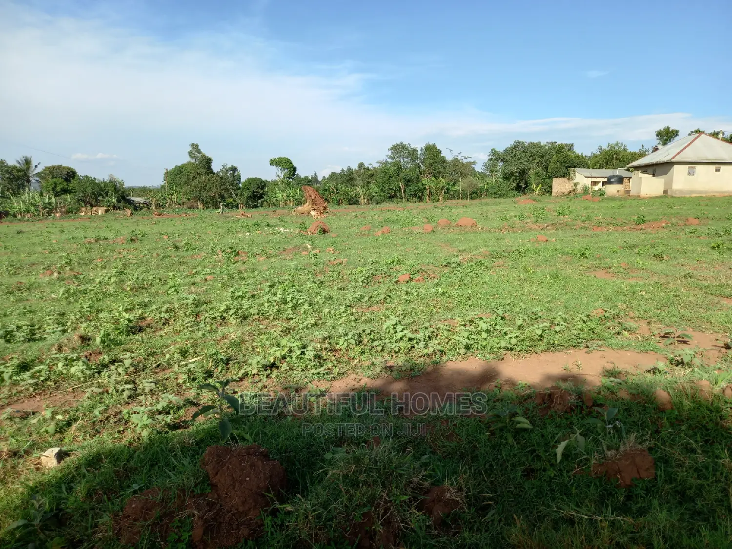 Nakwero With Ready Title Land on Sell