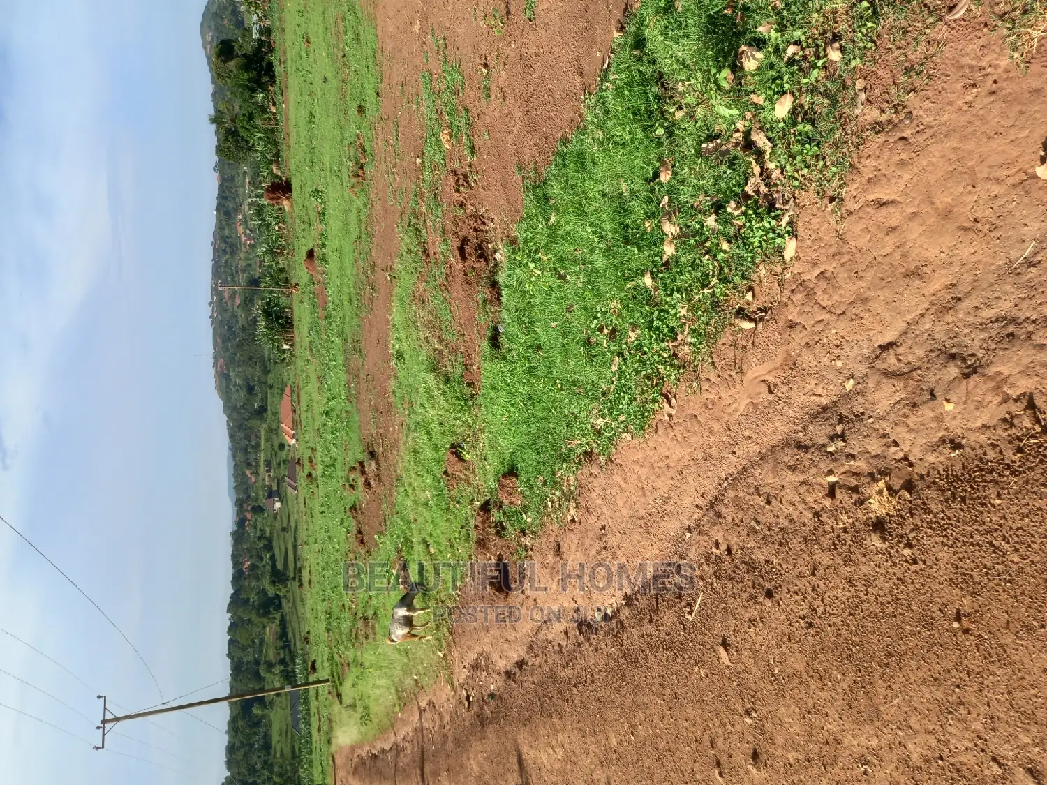 Nakwero 100#100 Land on Sell