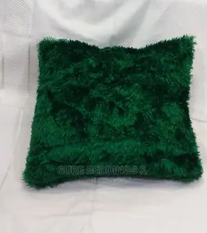 Stylish Cushions