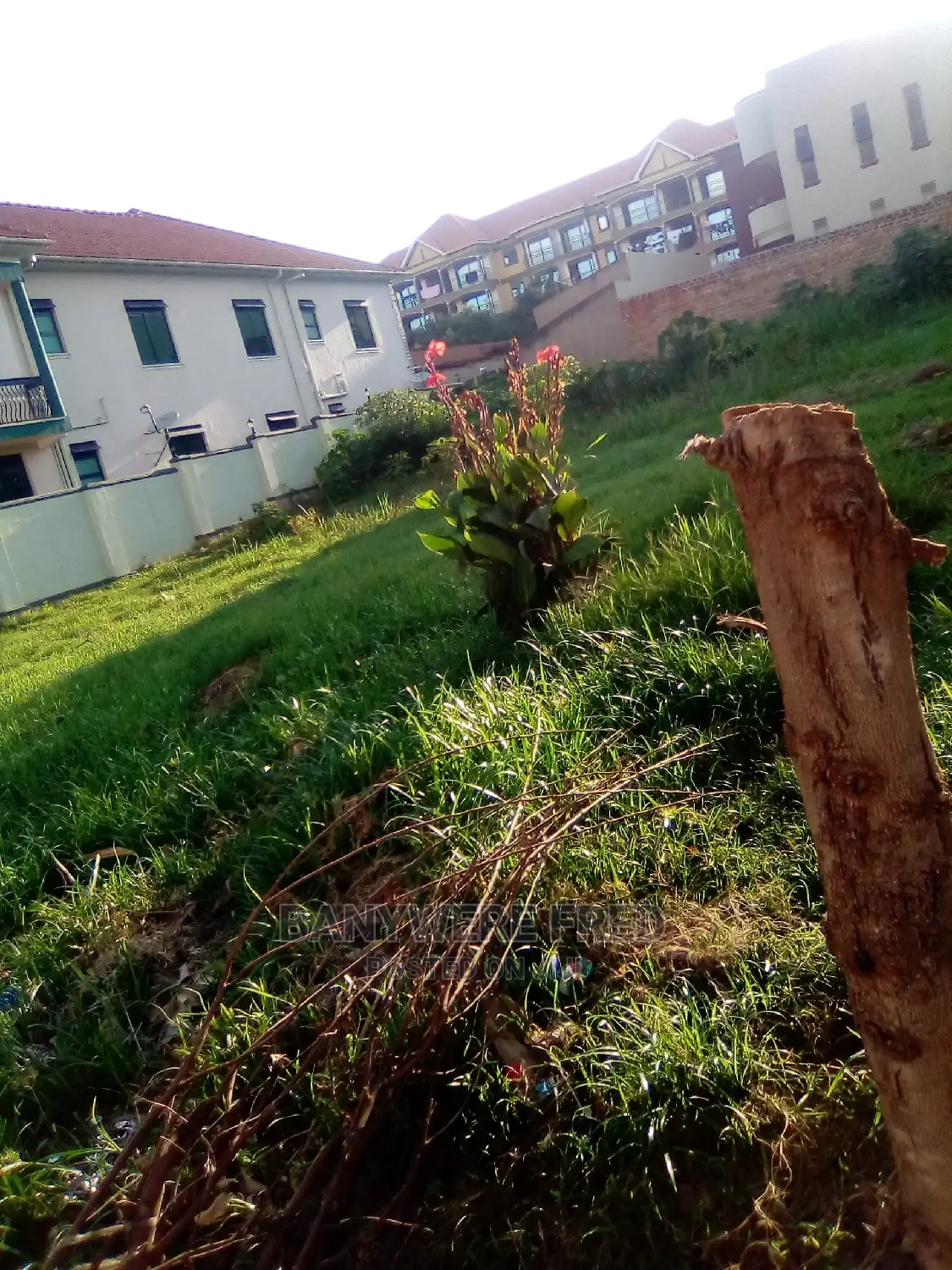 100/100 Plot for Sale in Kyaliwajala