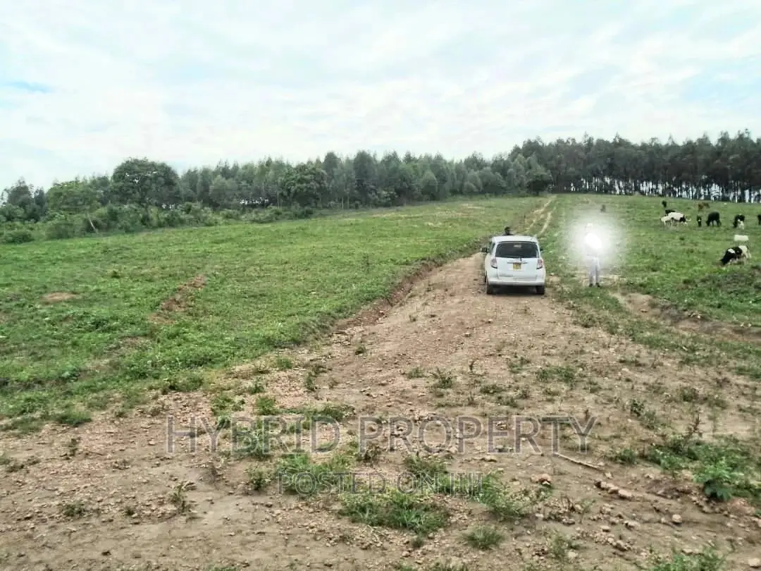 Plots for Sale at Gobero~Sseganga/Wakiso~ Estate~Hoima Road