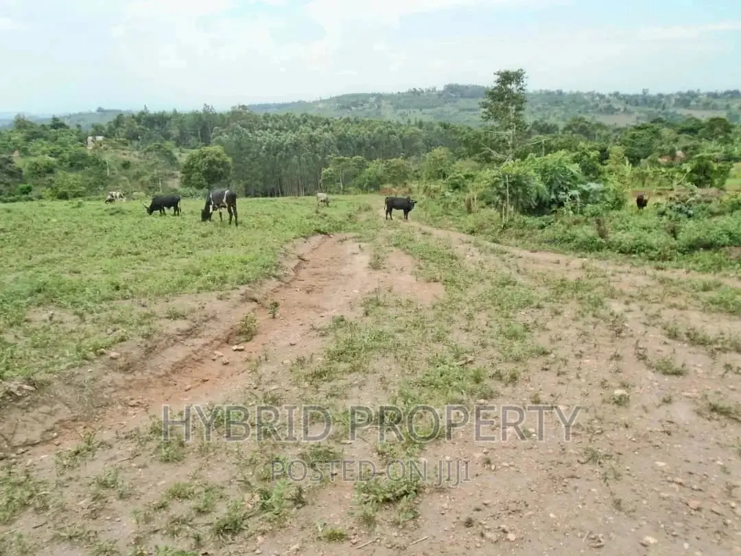 Plots for Sale at Gobero~Sseganga/Wakiso~ Estate~Hoima Road