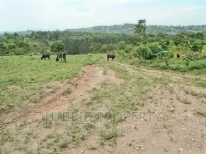 Plots for Sale at Gobero~Sseganga/Wakiso~ Estate~Hoima Road